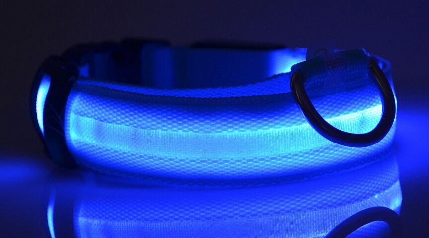 Nylon LED Pet Dog Luminous Collar Night Safety Flashing Glow in Dark Dog Cat Leash Adjustable Pet Supplies - Image 5